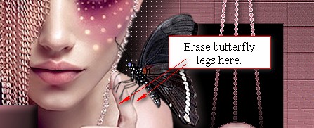 Erasebutterflylegs-1