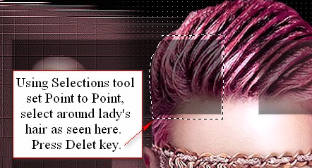 Selectaroundladyshairdelete