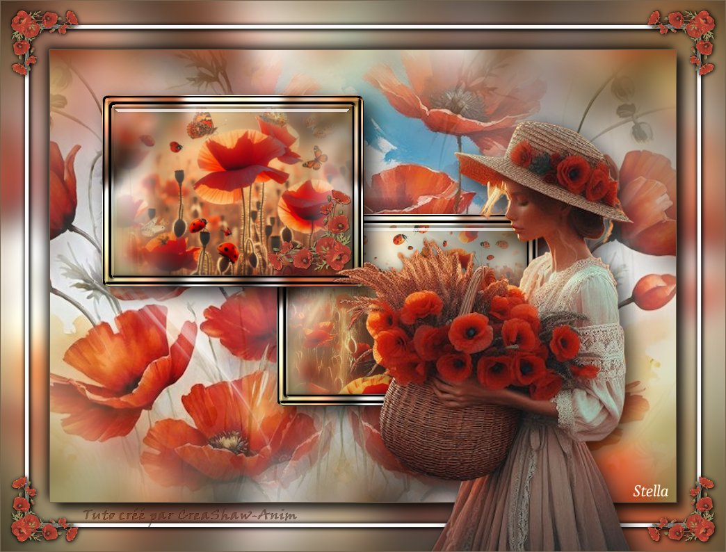 coquelicot_mon_ami_stardesignpsp