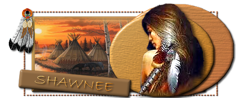 r528_banner_shawnee