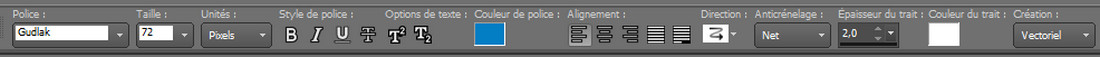 belle_police