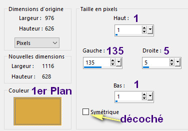 makeda_bordure_asymétrique