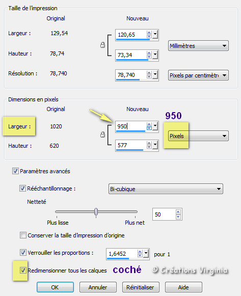 HBL_redimensionner_950