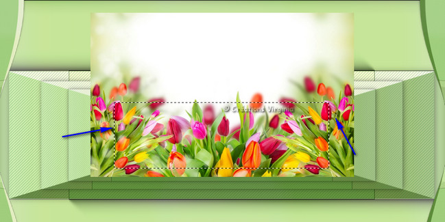 rdp_fond02_tulips