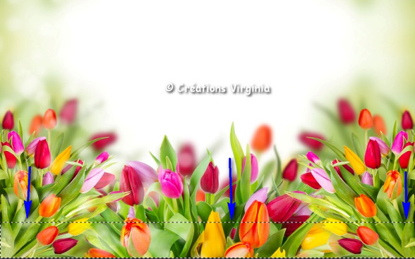 rdp_sel_image_fleurs